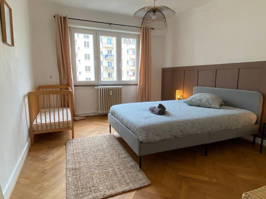 Apartment Charismatique Orangerie-10min Parlement Eu-wifi-tv Straßburg